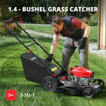 Load image into Gallery viewer, AMRISUN 21-Inch Self-Propelled Gas Lawn Mower for Large Yard, 170cc 4-Stroke Engine, 6-Position Adjustable Cutting Height, 3-in-1 Mulching, Side Discharge &amp; Rear Bag for Garden Landscaping